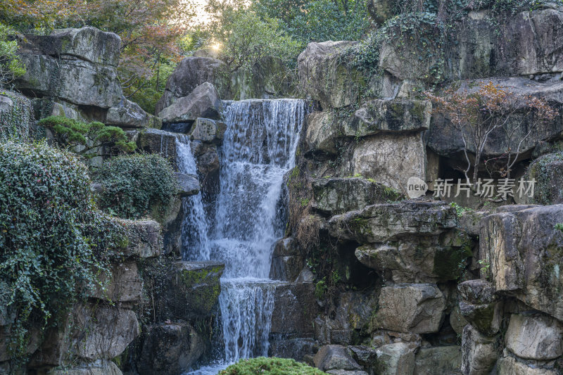 杭州西子湖畔杭州花圃风景