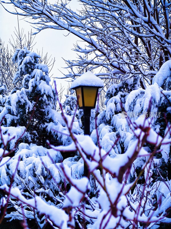 雪中路灯，积雪树木环绕的冬日景致