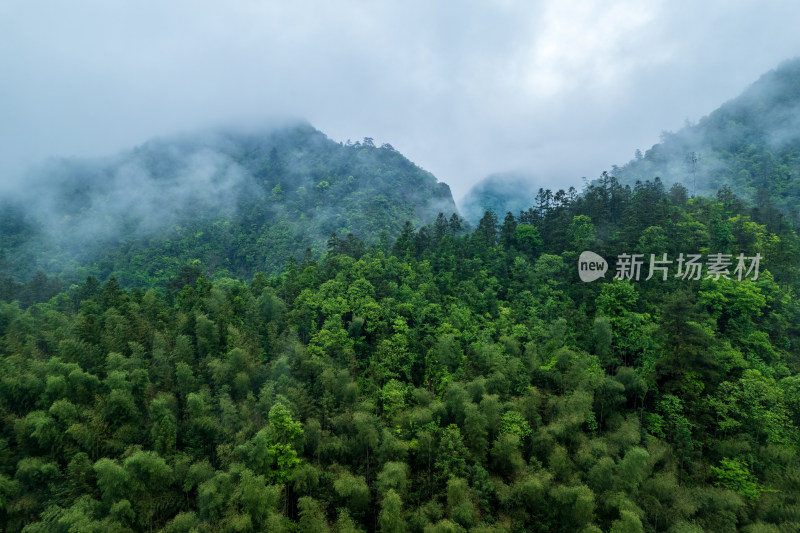 山林云雾缭绕的自然景观