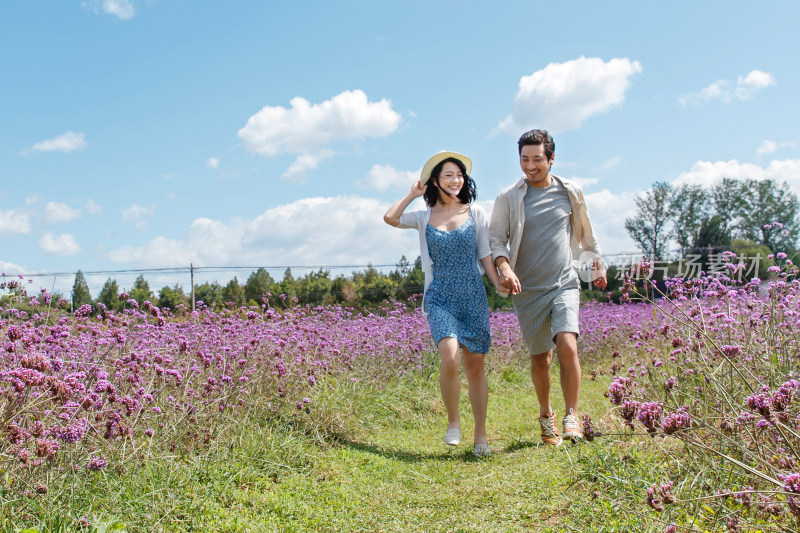 青年夫妇手牵手在花海里奔跑