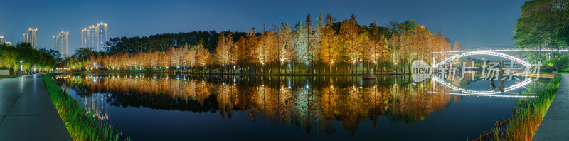 佛山千灯湖南海活水公园落羽杉夜景全景长图