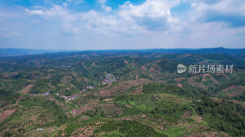 山川丘陵水果种植水果基地航拍