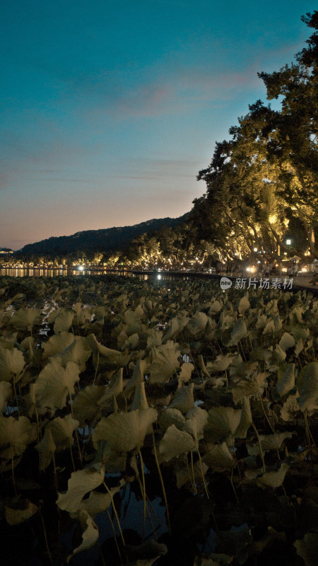 杭州西湖夜景