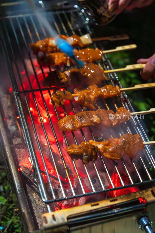 露营烧烤烤肉烤串