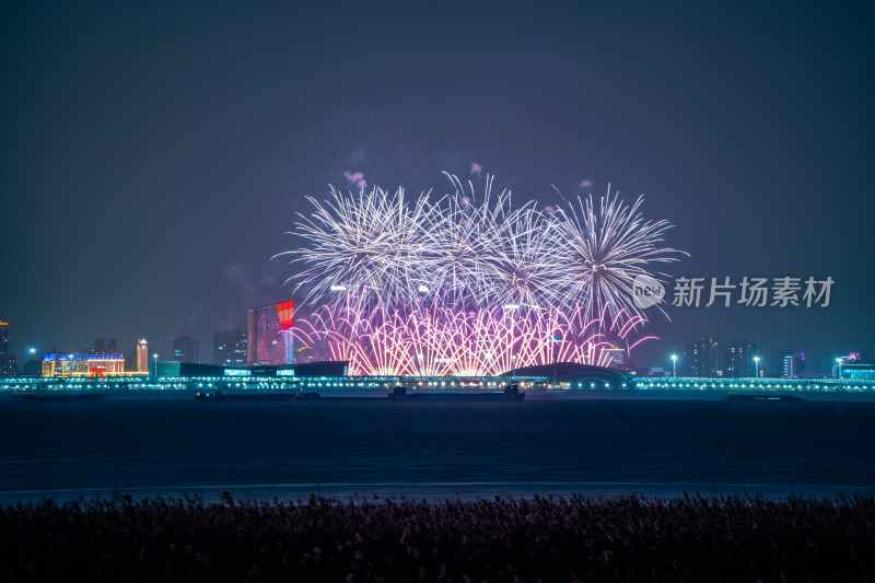 新年夜空中绽放的烟火