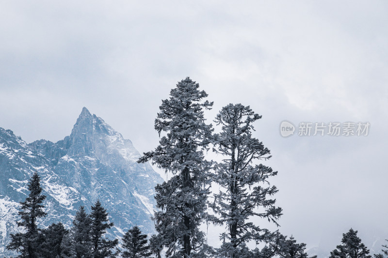 毕棚沟冬季景观