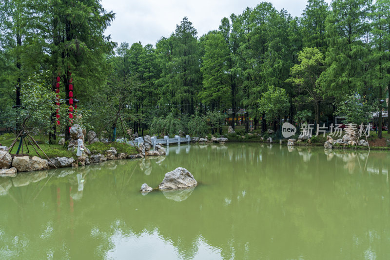 武汉东湖磨山景区风光