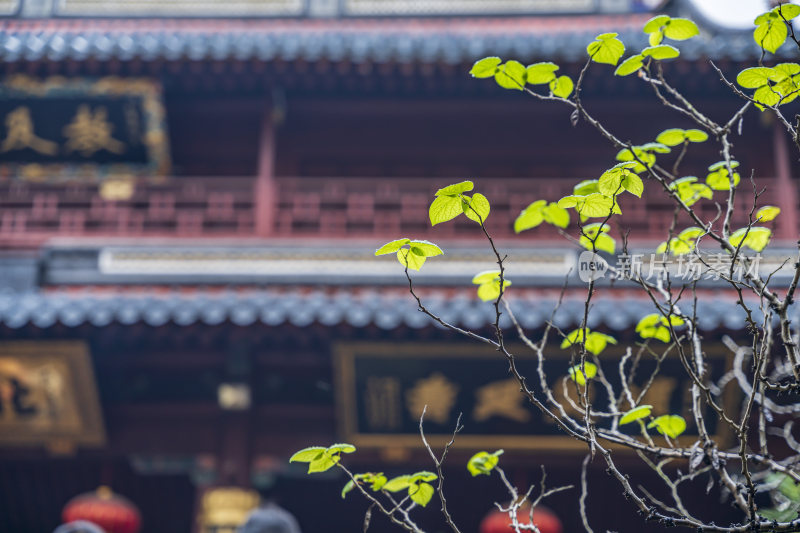 浙江普陀山普济寺禅院建筑