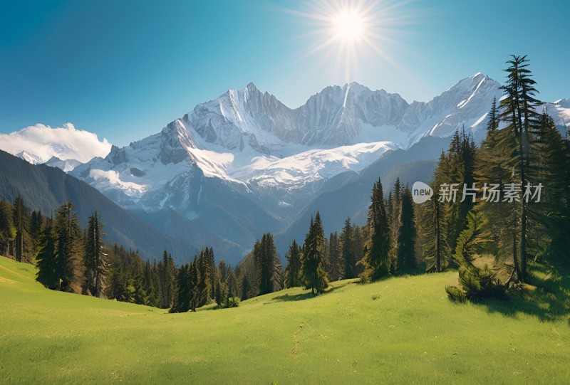 雪山草原森林风景