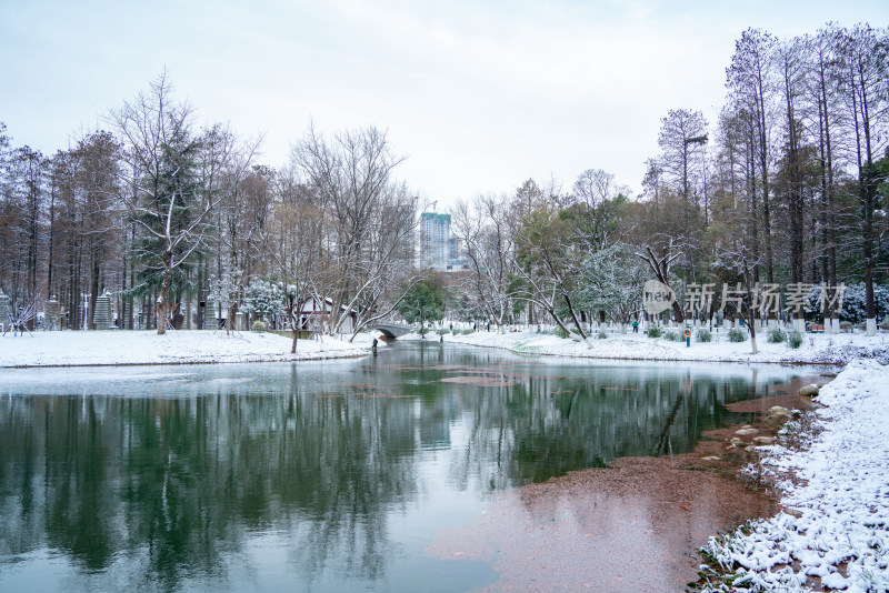 武汉冬天解放公园雪景