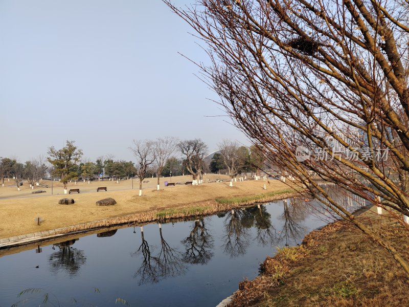 有水域和树木的公园风景