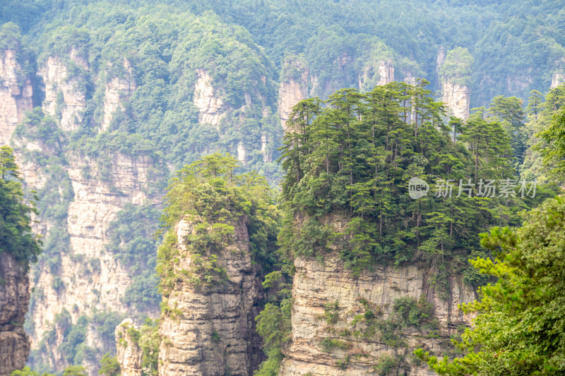 中国湖南张家界景区奇特山峰与茂密森林