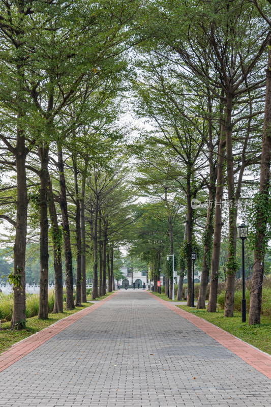 深圳市石岩湿地公园