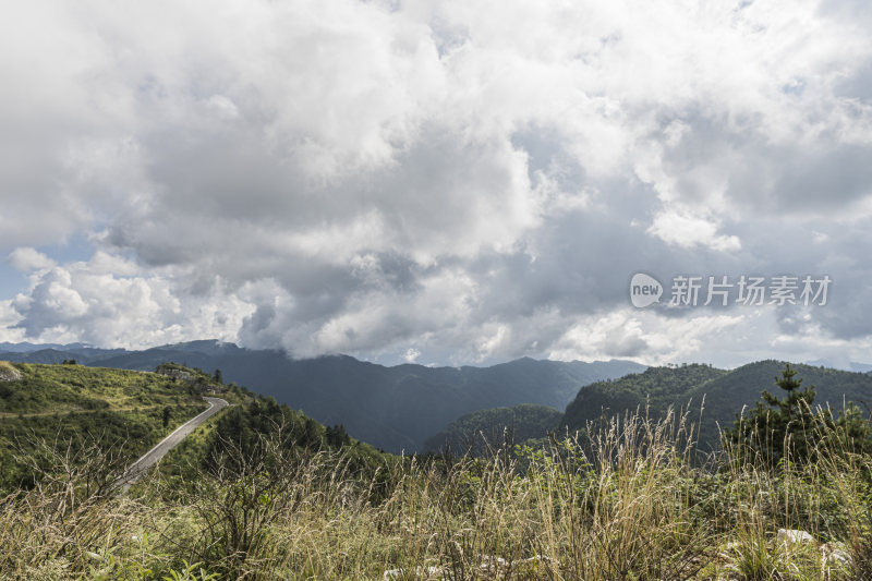 草地蓝天白云自然风景图