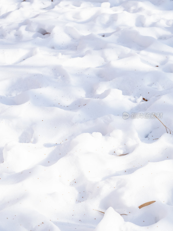 冬天光影中的雪地