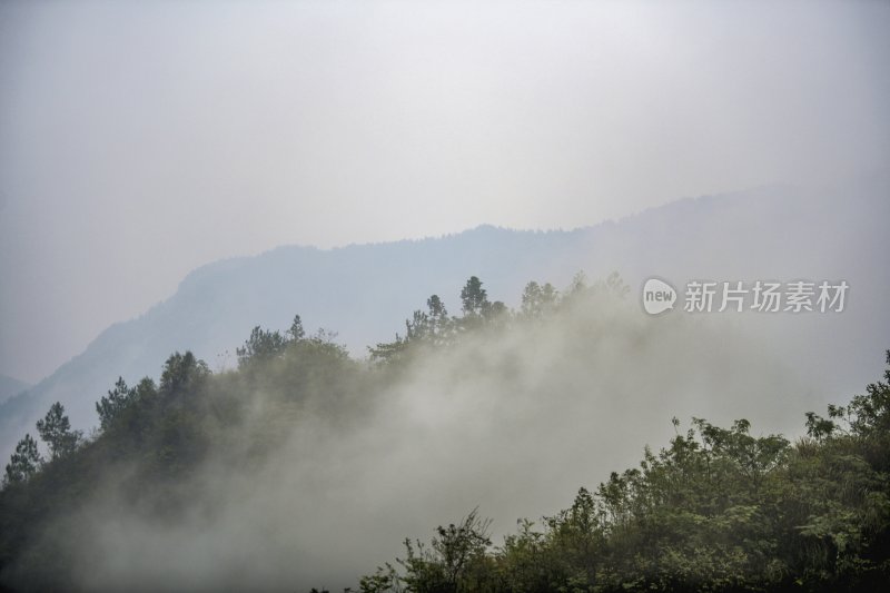 重庆酉阳：暮秋绵雨晨雾浓