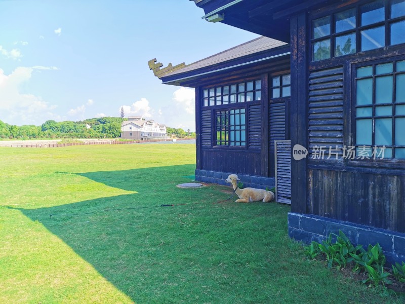 夏日蓝天白云风景