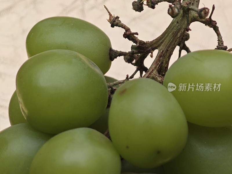 青提特写展示果实饱满的青提近景