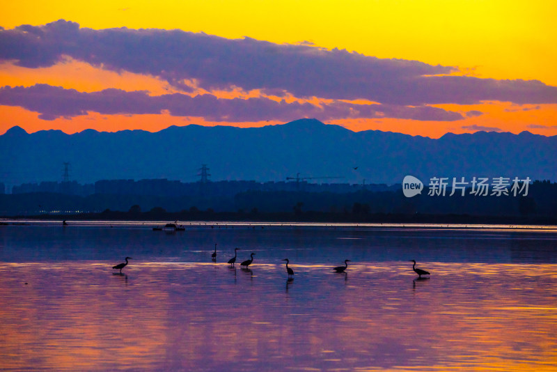 夕阳下湖面飞鸟与远山景色