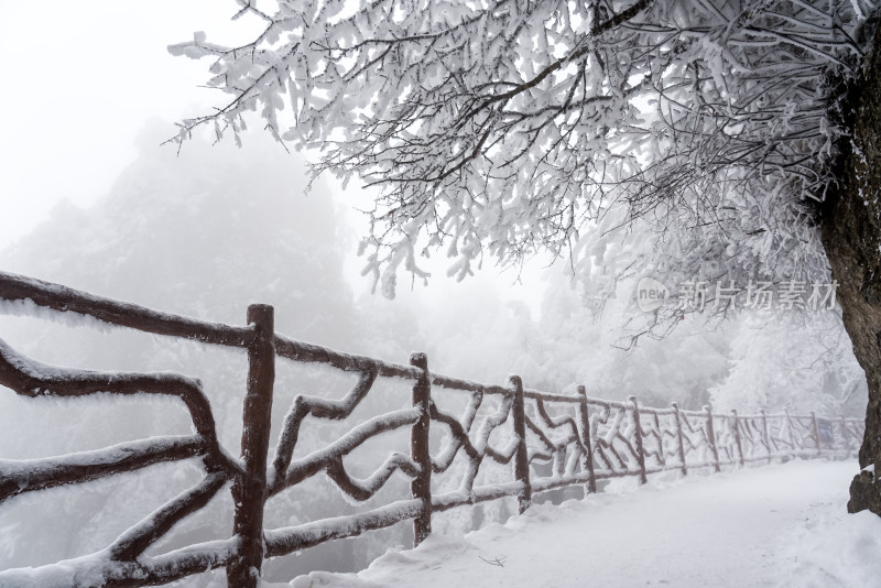 冬天大雪景区步道栏杆