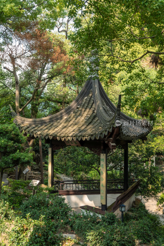 中式风格的古建筑园林上海青浦曲水园景色