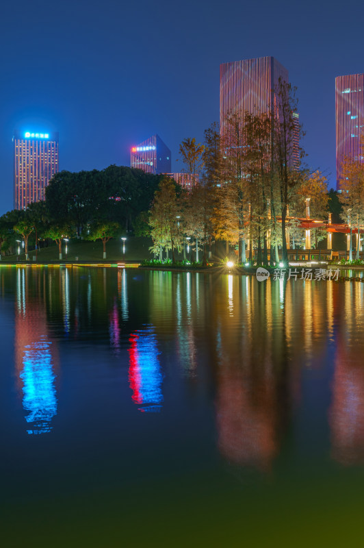 佛山千灯湖公园落羽杉红叶与城市夜景灯光