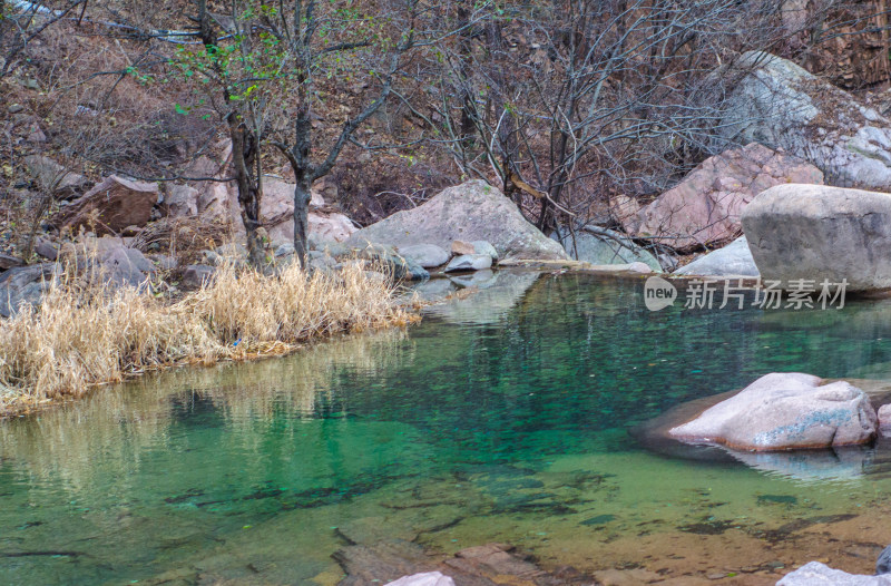 青岛崂山北九水，湛蓝的溪水的和枯萎芦苇