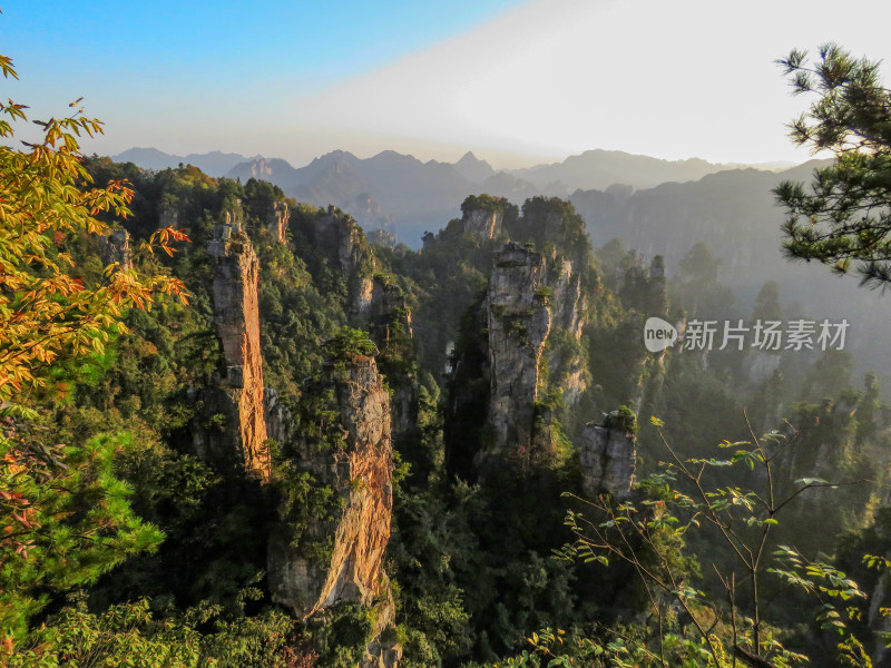 中国湖南张家界国家森林公园旅游风光