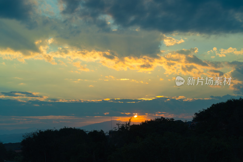 夕阳西下的天空衬托下树木的轮廓