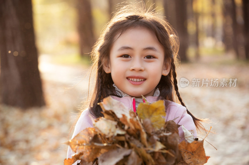 可爱的小女孩在户外捡树叶