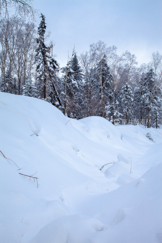 黑龙江 双峰林场 雪乡