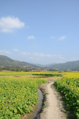 漳州长泰古山重村景区风光照片