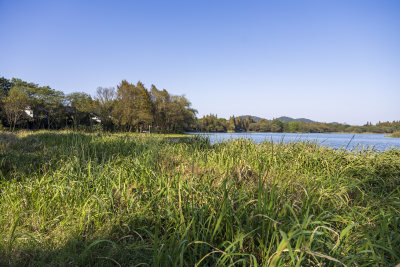 杭州西湖茅家埠江南水乡风景