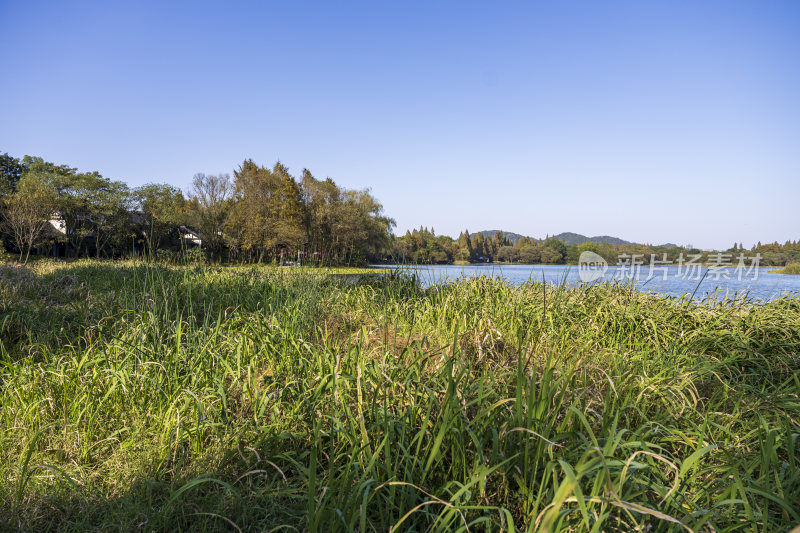 杭州西湖茅家埠江南水乡风景