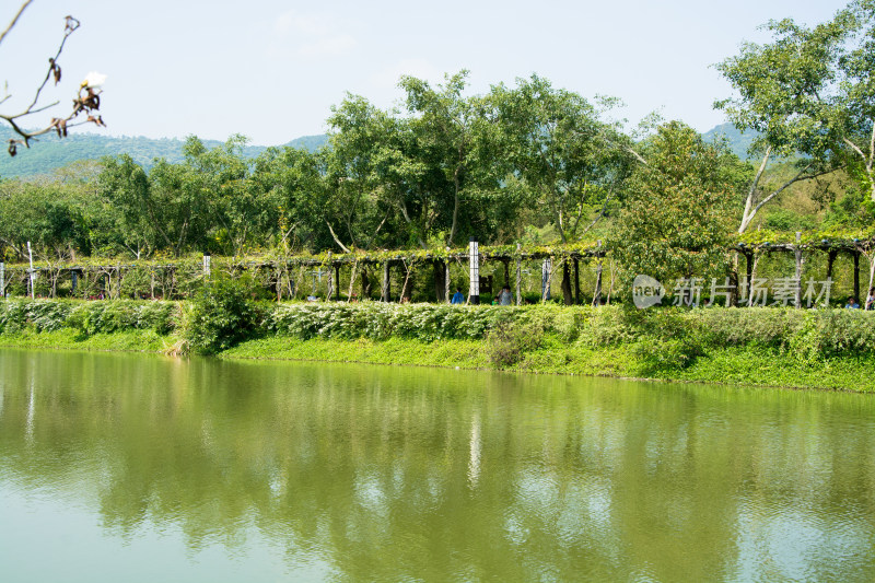 湖边绿植廊架自然风景