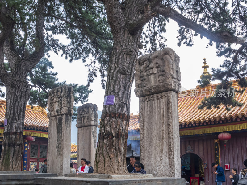 山西五台山菩萨顶禅院