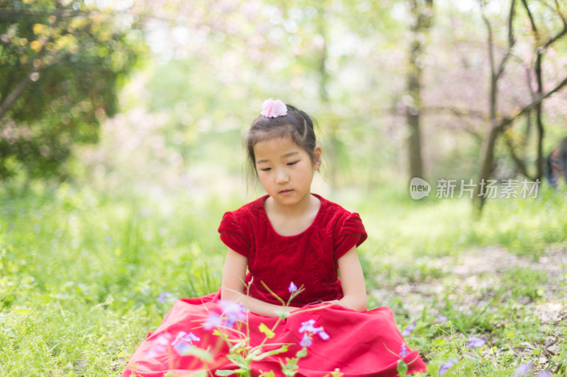 春天坐在二月兰花丛里的漂亮苏州女孩