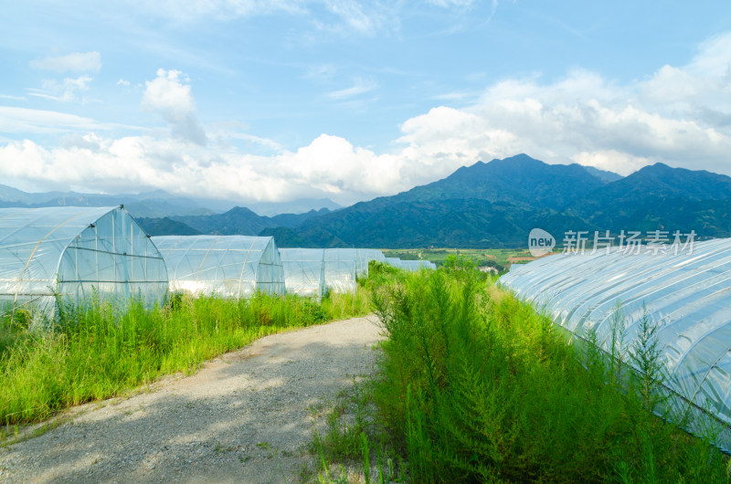 田园山间的农业温室大棚