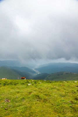 五台山朝圣路上的风景