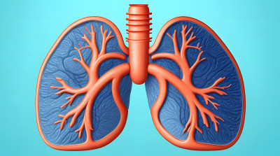 医疗医学临床呼吸道肺部模型概念图