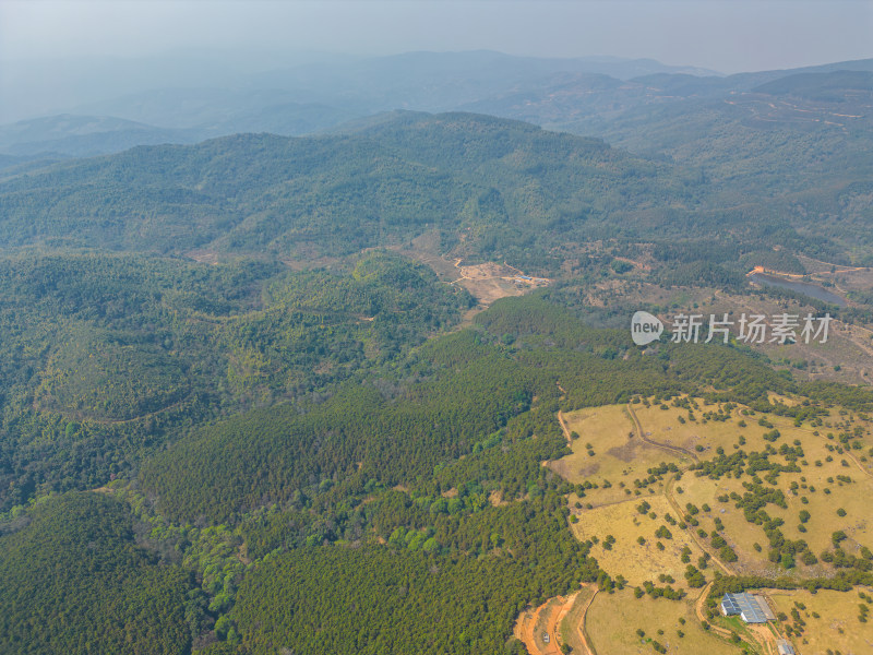 航拍山顶牧场田园风光