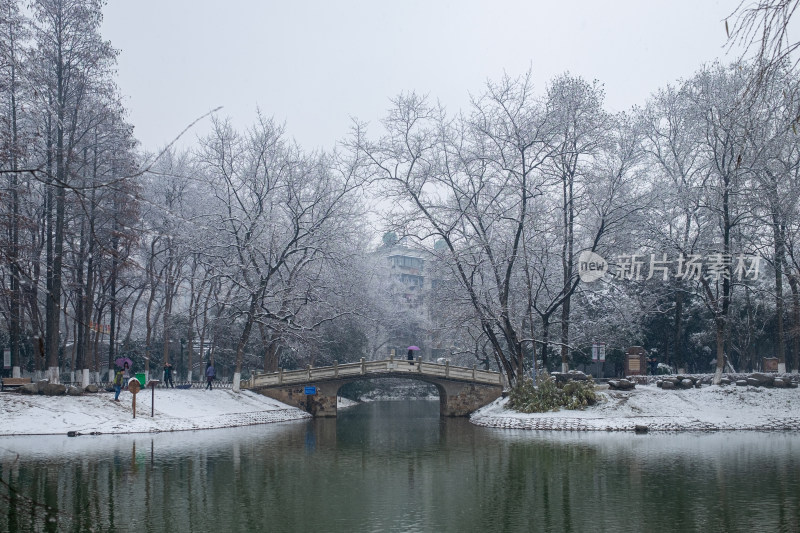 雪中树林小路 冬日唯美自然景观