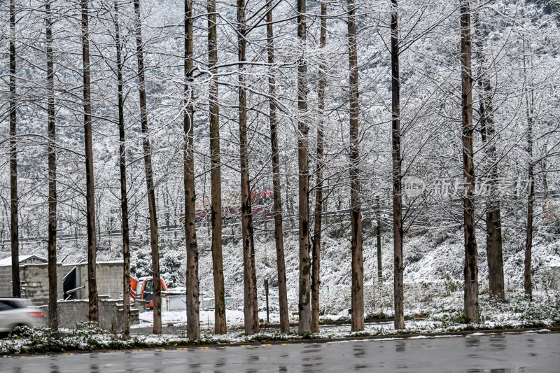 重庆酉阳：大雪纷飞赏雪忙