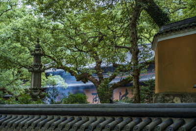 浙江普陀山法雨寺禅院