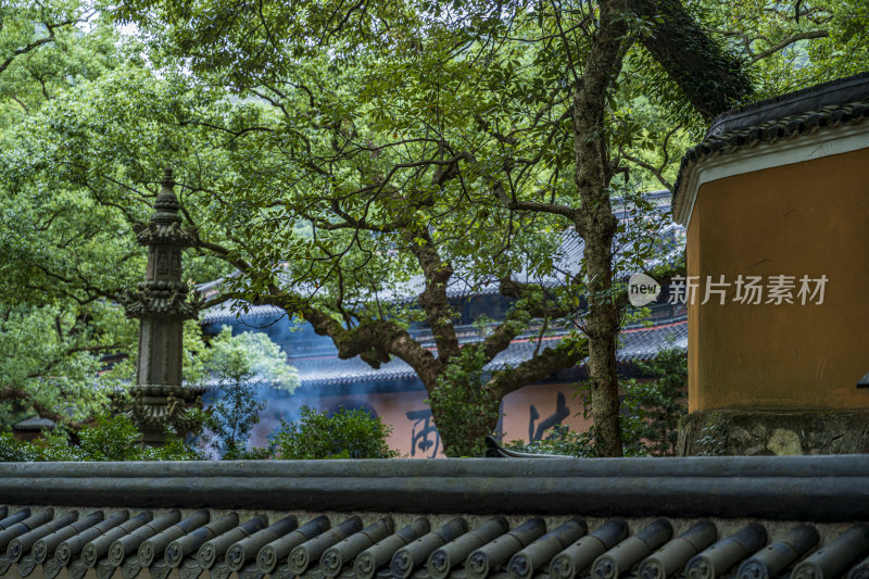 浙江普陀山法雨寺禅院