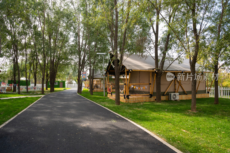 绿色的野餐露营度假地