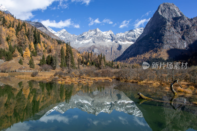 川西秋色，四姑娘山双桥沟雪山湖泊森林倒影