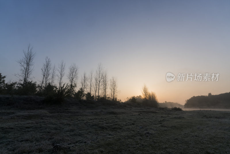 日出时分的旷野与树木风景