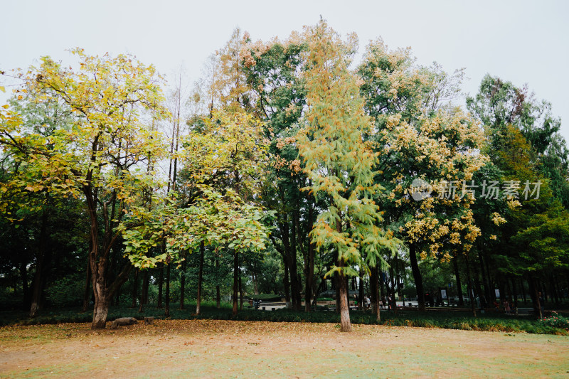 衢州府山公园