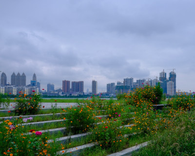 武汉沙湖花溪